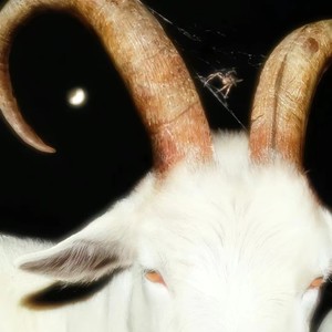 H2rix资料,H2rix最新歌曲,H2rixMV视频,H2rix音乐专辑,H2rix好听的歌