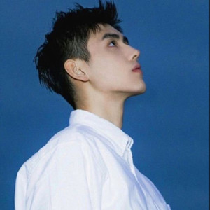 迷屿资料,迷屿最新歌曲,迷屿MV视频,迷屿音乐专辑,迷屿好听的歌