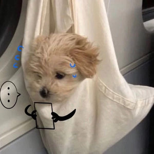 煎饼狗子资料,煎饼狗子最新歌曲,煎饼狗子MV视频,煎饼狗子音乐专辑,煎饼狗子好听的歌