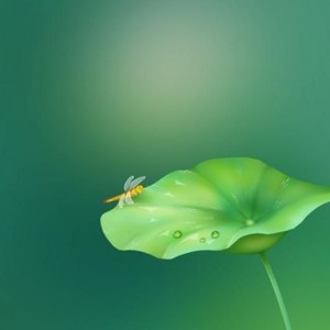 韩大大资料,韩大大最新歌曲,韩大大MV视频,韩大大音乐专辑,韩大大好听的歌