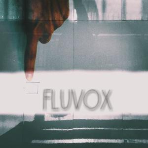 Nujabes - Luv sic part4  (Fluvox remix|伴奏)