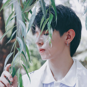 阿克朱力资料,阿克朱力最新歌曲,阿克朱力MV视频,阿克朱力音乐专辑,阿克朱力好听的歌