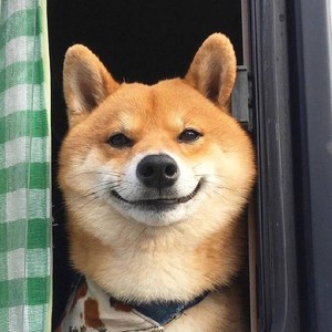 RaidenTired资料,RaidenTired最新歌曲,RaidenTiredMV视频,RaidenTired音乐专辑,RaidenTired好听的歌