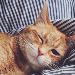 Notz资料,Notz最新歌曲,NotzMV视频,Notz音乐专辑,Notz好听的歌