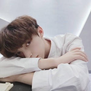 苏迟迟资料,苏迟迟最新歌曲,苏迟迟MV视频,苏迟迟音乐专辑,苏迟迟好听的歌