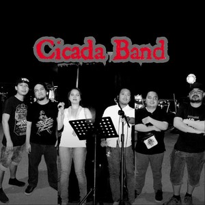 Cicada资料,Cicada最新歌曲,CicadaMV视频,Cicada音乐专辑,Cicada好听的歌