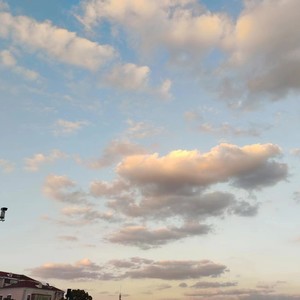 白泽文资料,白泽文最新歌曲,白泽文MV视频,白泽文音乐专辑,白泽文好听的歌