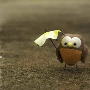 欣儿资料,欣儿最新歌曲,欣儿MV视频,欣儿音乐专辑,欣儿好听的歌