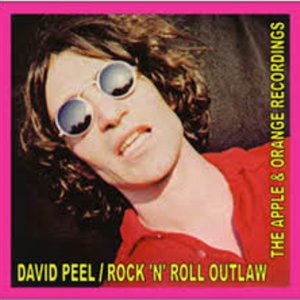 David Peel资料,David Peel最新歌曲,David PeelMV视频,David Peel音乐专辑,David Peel好听的歌