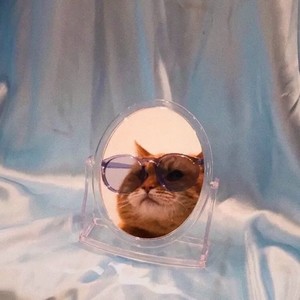 八离资料,八离最新歌曲,八离MV视频,八离音乐专辑,八离好听的歌