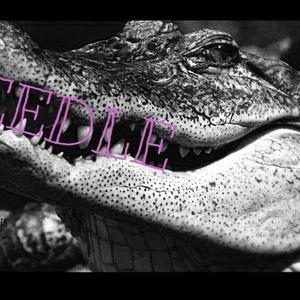 Needle资料,Needle最新歌曲,NeedleMV视频,Needle音乐专辑,Needle好听的歌