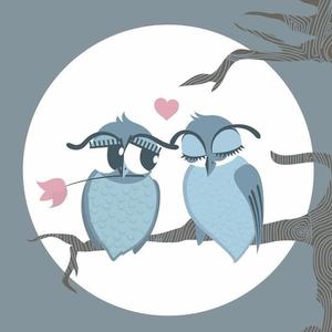 爱情知音资料,爱情知音最新歌曲,爱情知音MV视频,爱情知音音乐专辑,爱情知音好听的歌