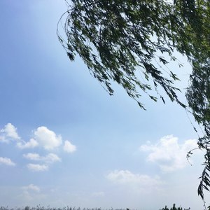 你的答案