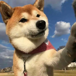 shuo飞飞飞啥资料,shuo飞飞飞啥最新歌曲,shuo飞飞飞啥MV视频,shuo飞飞飞啥音乐专辑,shuo飞飞飞啥好听的歌