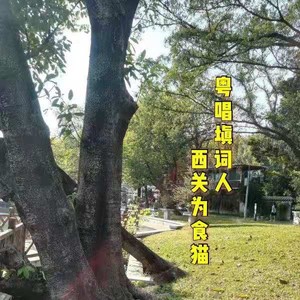 西关为食猫资料,西关为食猫最新歌曲,西关为食猫MV视频,西关为食猫音乐专辑,西关为食猫好听的歌