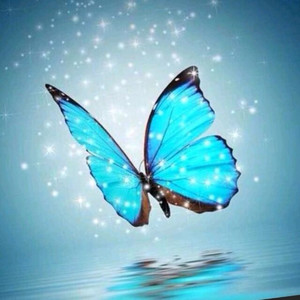 梦之蝶资料,梦之蝶最新歌曲,梦之蝶MV视频,梦之蝶音乐专辑,梦之蝶好听的歌