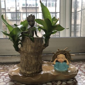 初柚资料,初柚最新歌曲,初柚MV视频,初柚音乐专辑,初柚好听的歌