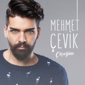 Mehmet Çevik