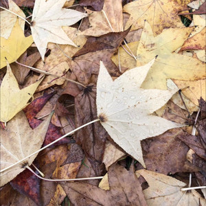 小熊 - 手写的从前 (K歌版)