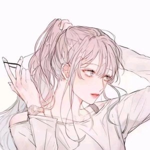 宠护
