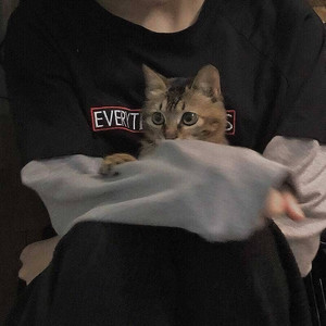 浪客念安资料,浪客念安最新歌曲,浪客念安MV视频,浪客念安音乐专辑,浪客念安好听的歌