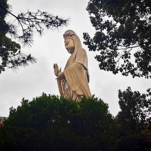 八万阿资料,八万阿最新歌曲,八万阿MV视频,八万阿音乐专辑,八万阿好听的歌