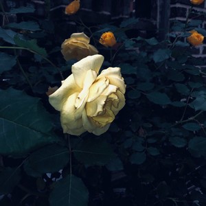 八分资料,八分最新歌曲,八分MV视频,八分音乐专辑,八分好听的歌