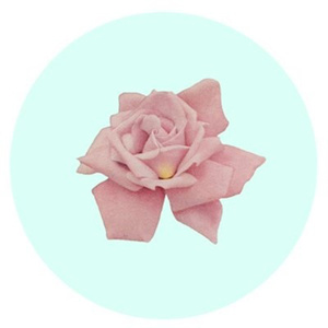 Acidclank资料,Acidclank最新歌曲,AcidclankMV视频,Acidclank音乐专辑,Acidclank好听的歌