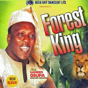 King Saheed Osupa