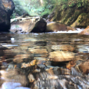 马驹 - 江畔之情