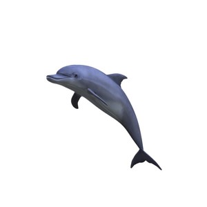 时光话