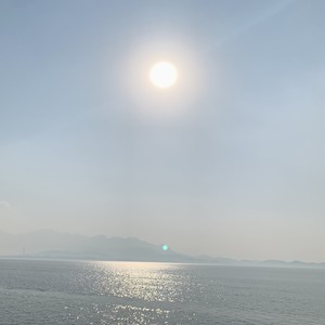 美若黎明 (COVER版)