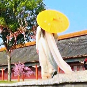 音乐排行榜- (芈月传-排箫纯音乐)-朱丽的世外桃源