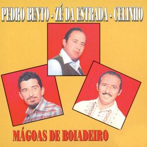 Pedro Bento, Zé Da Estrada E Celinho