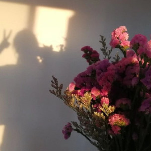 维声资料,维声最新歌曲,维声MV视频,维声音乐专辑,维声好听的歌