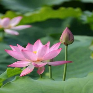 赵清资料,赵清最新歌曲,赵清MV视频,赵清音乐专辑,赵清好听的歌