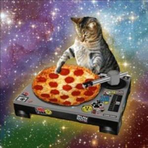 我见过沙漠下鲍鱼