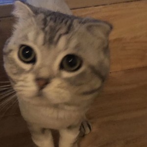 郭林杰资料,郭林杰最新歌曲,郭林杰MV视频,郭林杰音乐专辑,郭林杰好听的歌