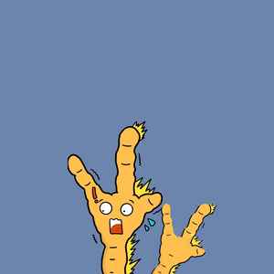 叮咚鸡资料,叮咚鸡最新歌曲,叮咚鸡MV视频,叮咚鸡音乐专辑,叮咚鸡好听的歌