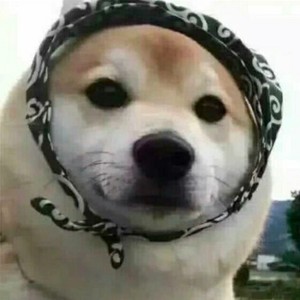 路飞飞资料,路飞飞最新歌曲,路飞飞MV视频,路飞飞音乐专辑,路飞飞好听的歌