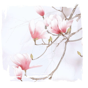 不夏资料,不夏最新歌曲,不夏MV视频,不夏音乐专辑,不夏好听的歌