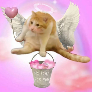 王棋资料,王棋最新歌曲,王棋MV视频,王棋音乐专辑,王棋好听的歌