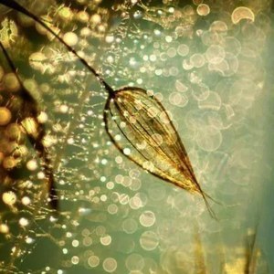 班树明资料,班树明最新歌曲,班树明MV视频,班树明音乐专辑,班树明好听的歌