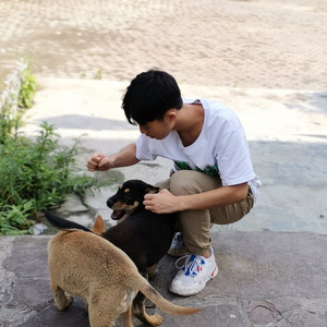 新奕OD7A资料,新奕OD7A最新歌曲,新奕OD7AMV视频,新奕OD7A音乐专辑,新奕OD7A好听的歌