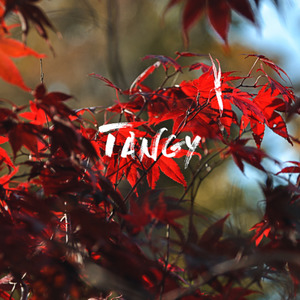 Tangy资料,Tangy最新歌曲,TangyMV视频,Tangy音乐专辑,Tangy好听的歌