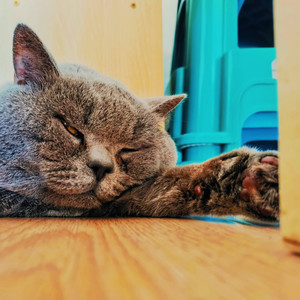 贺知章资料,贺知章最新歌曲,贺知章MV视频,贺知章音乐专辑,贺知章好听的歌