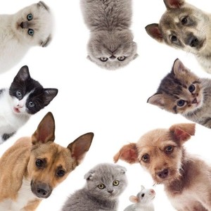 往事只能回味 (Single Version)