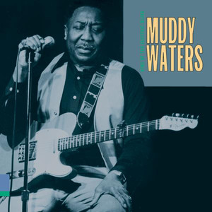 Muddy Waters Blues Band