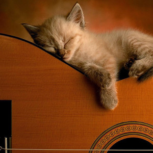 深知是梦资料,深知是梦最新歌曲,深知是梦MV视频,深知是梦音乐专辑,深知是梦好听的歌