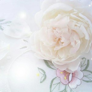 娃娃-521资料,娃娃-521最新歌曲,娃娃-521MV视频,娃娃-521音乐专辑,娃娃-521好听的歌